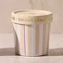 HAVANA VANILLA ARTISAN CAFFE GELATO CUP CANDLE 6.5OZ