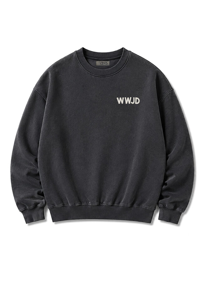 WWJD DISCIPLE'S SIGNATURE SWEATSHIRT