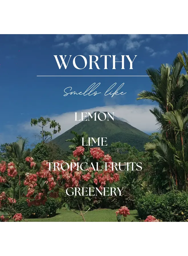 WORTHY | VOLCANIC ISLAND | 15 OZ  SOY CANDLE