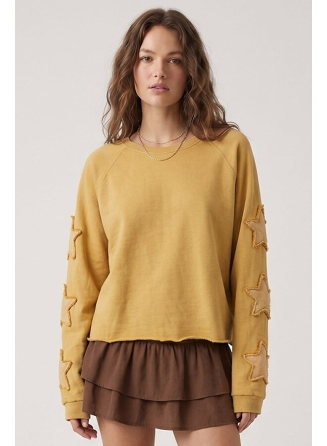 STAR OF THE SHOW CROPPED TOP