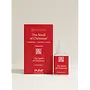 PURA FRAGRANCE DIFFUSER REFILL-AROMATIQUE | THE SMELL OF CHRISTMAS