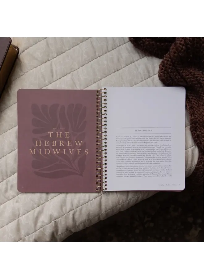 DAUGHTERS OF GRACE SPIRAL BIBLE STUDY