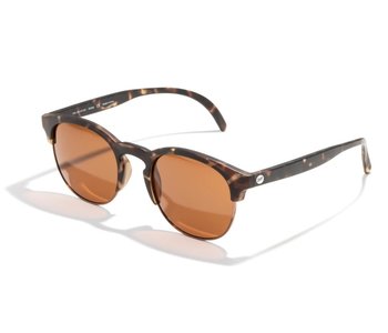 Lunette soleil avila polarized tortoise amber