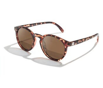 Lunette soleil dipsea polarized tortoise amber