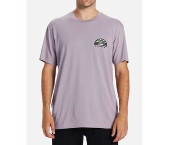 Tshirt homme A/div shine purple ash