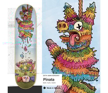 Skateboard 25th anniversary pinata