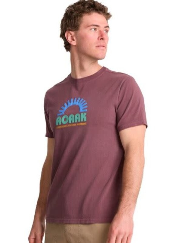 T-shirt homme premium sundial purple ash