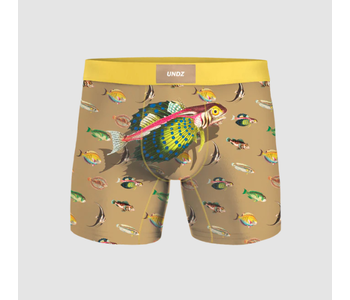 Boxer junior poissons