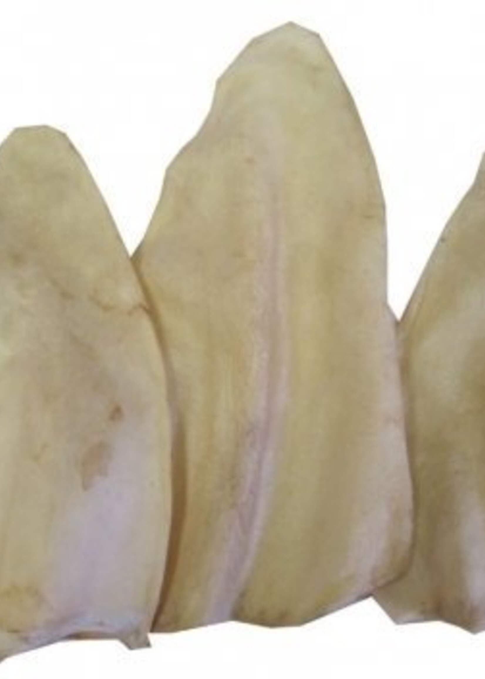 Best Buy Bones Best Buy Bones Large Cow Ears