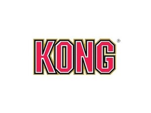 Kong