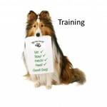 Training
