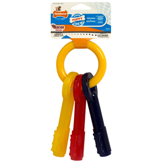 Nylabone Nylabone Puppy Teething Keys