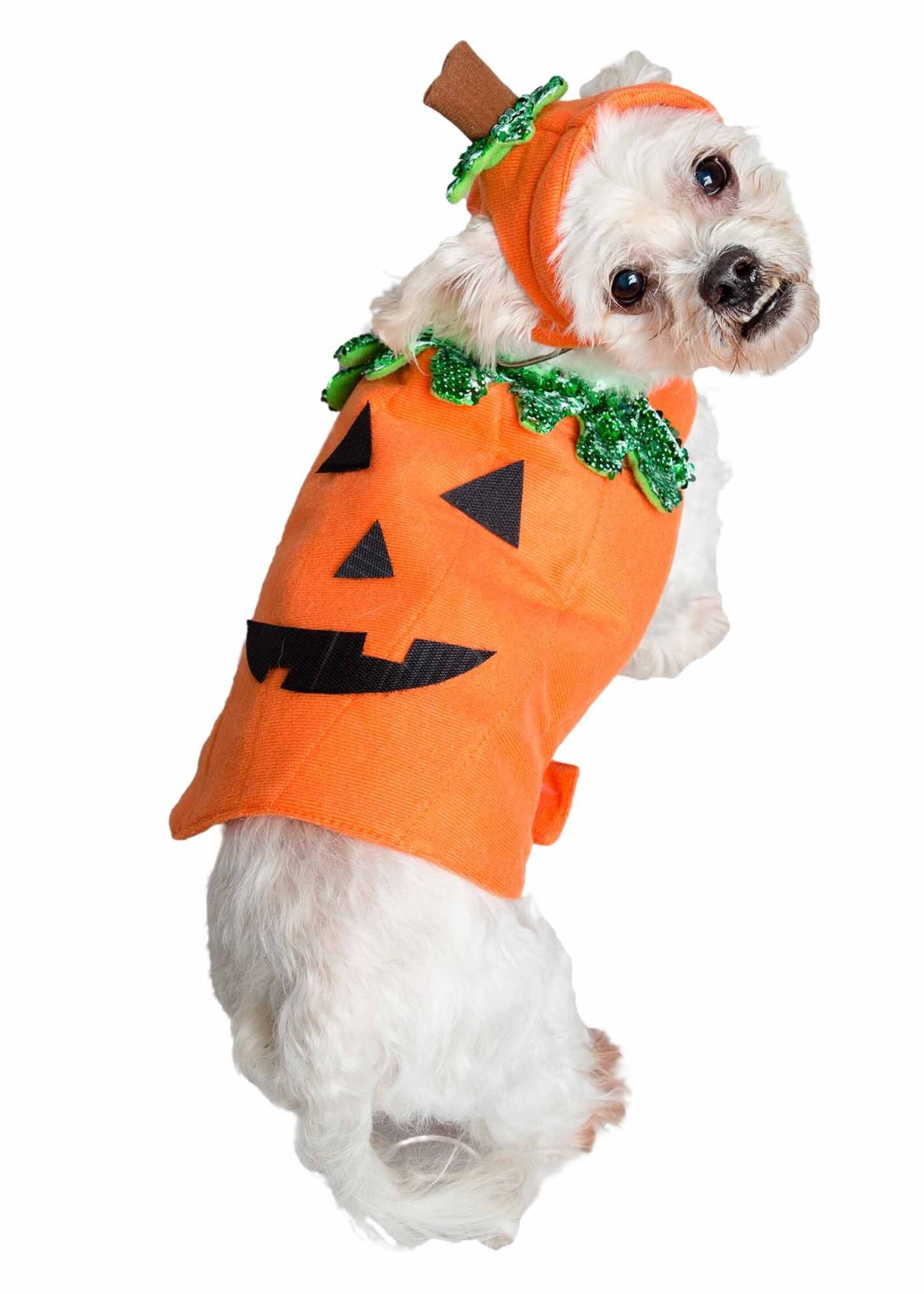 Pet Krewe Pet Krewe Pumpkin Costume