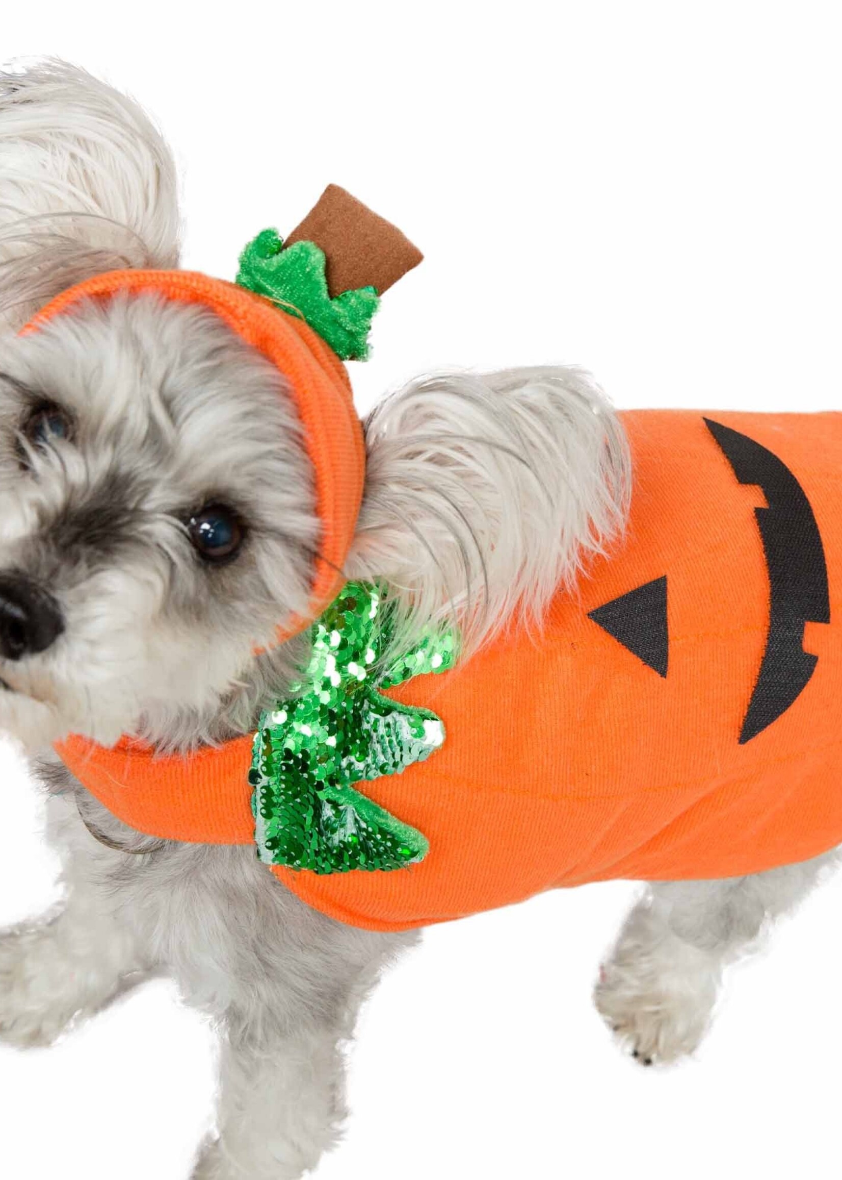 Pet Krewe Pet Krewe Pumpkin Costume