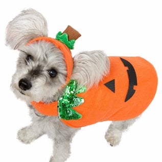 Pet Krewe Pet Krewe Pumpkin Costume