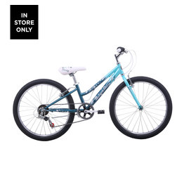 malvern star mountain bike