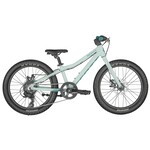 SCO CONTESSA 20 RIGID MINT