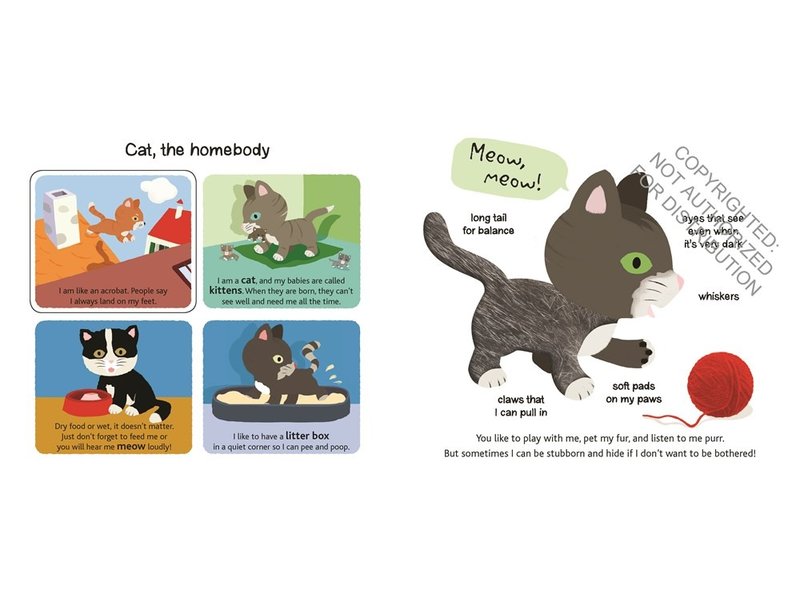 Chronicle Books Touch and Explore: Pets