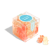Champagne Bears