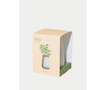 Mint Tapered Tumbler Grow Kit