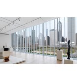 Abrams Chicago Architecture and Design