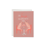 Red Cap Cards Shrimply Love Card