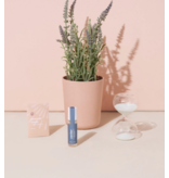 Modern Sprout Seek Peace Mindful Meditation Kit