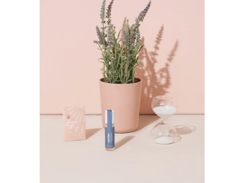 Modern Sprout Seek Peace Mindful Meditation Kit