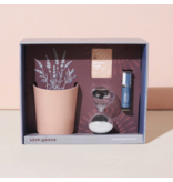 Modern Sprout Seek Peace Mindful Meditation Kit