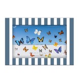 Chronicle Books Gray Malin The Butterflies Porcelain Tray