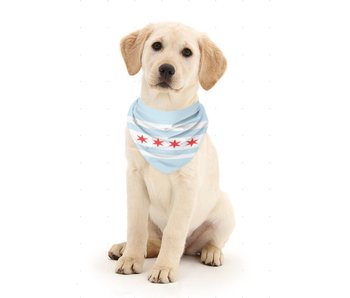 Chicago Flag Dog Bandana