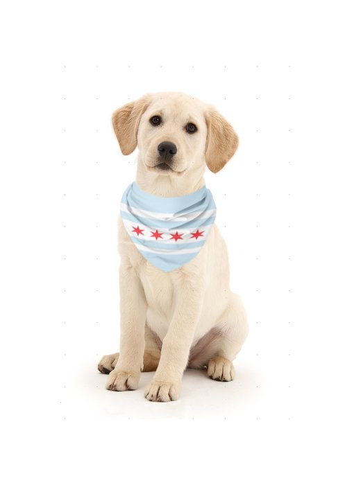 Chicago Flag Dog Bandana
