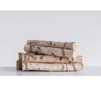 Birch Log Bundle
