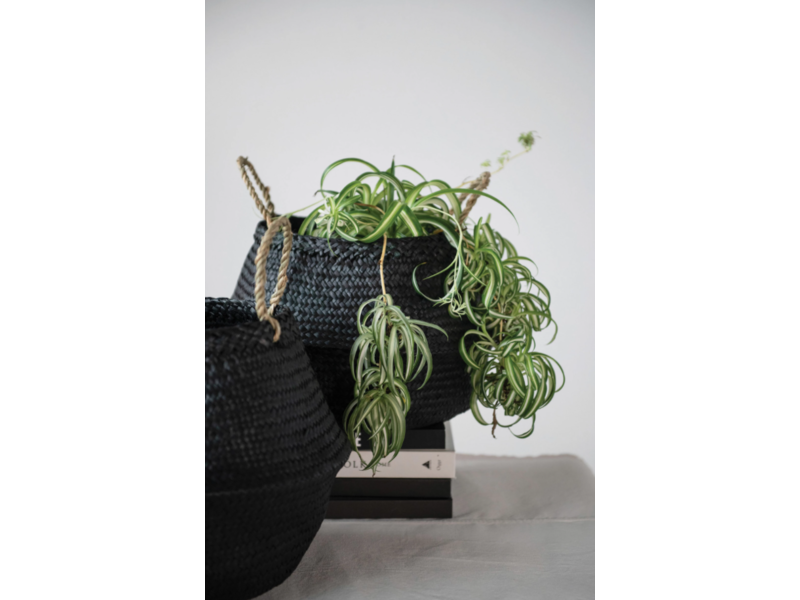 Creative Co-OP Hand-Woven Seagrass Belly Baskets