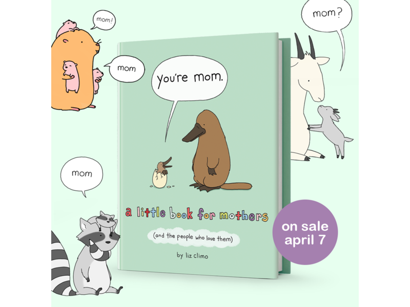 Macmillan Publishing You're Mom : A Little Book for Mothers (And the People Who Love Them)