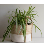 Napa Home & Garden Adria Natural Woven Basket