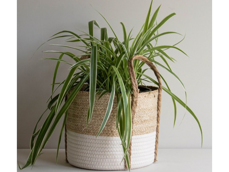 Napa Home & Garden Adria Natural Woven Basket