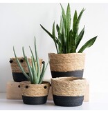 Napa Home & Garden Aldis Natural Baskets