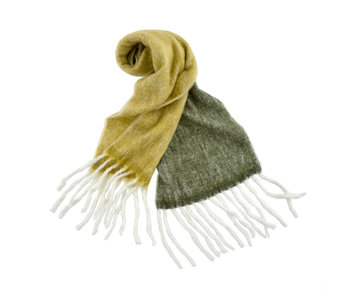 Olive and Forest Fringed Color Block Scarf