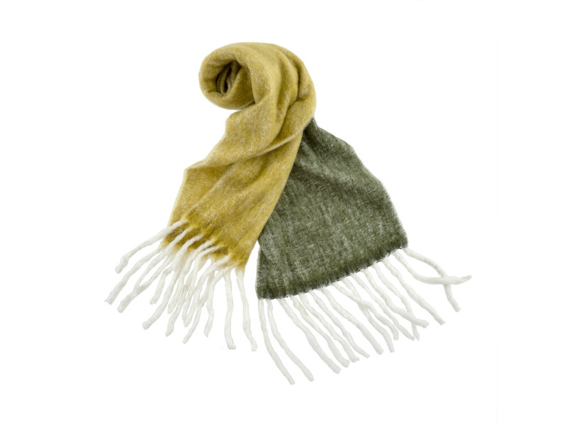 Indaba Trading Olive and Forest Fringed Color Block Scarf