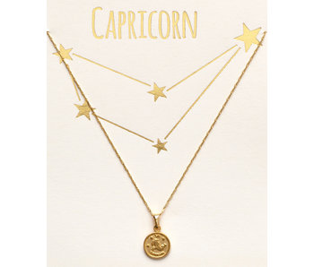 Tiny Zodiac Medallion Capricorn