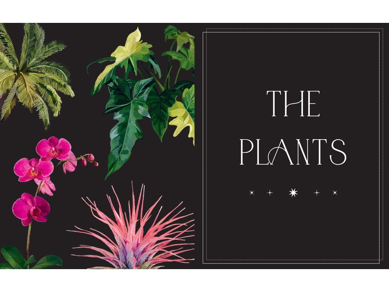 Chronicle Books Everyday Plant Magic
