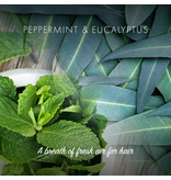 Friendly Soap Peppermint & Eucalyptus Conditioner Bar - Eco Friendly