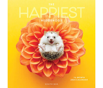 Happiest Hedgehogs 12 x 12 Wall Calendar