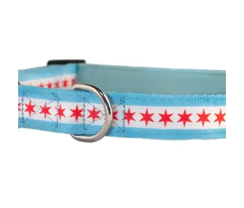 Chicago Flag Dog Collar: Small