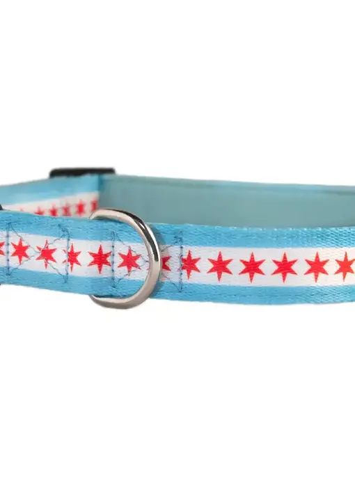 Chicago Flag Dog Collar: Small
