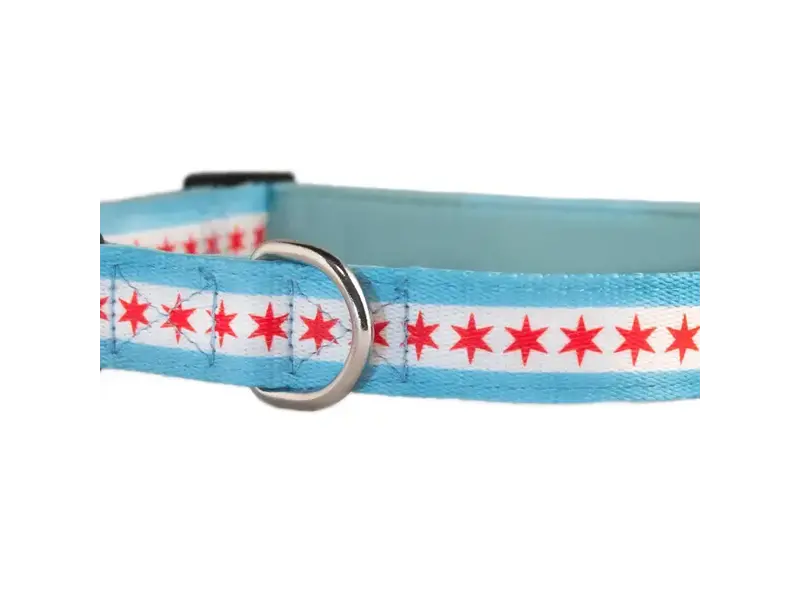 Sophisticated Pup Chicago Flag Dog Collar: Small