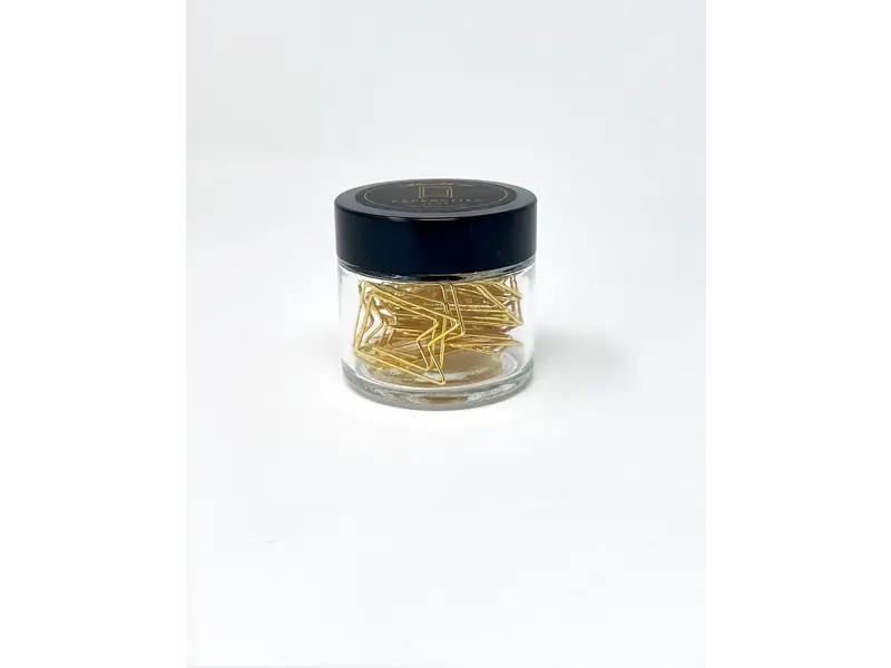 Idlewild Flag Gold Plated Paper Clips