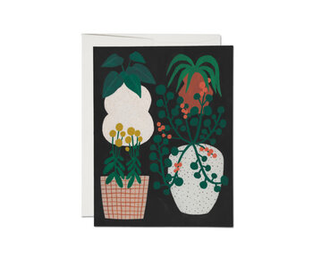 Indoor Plants everyday greeting card