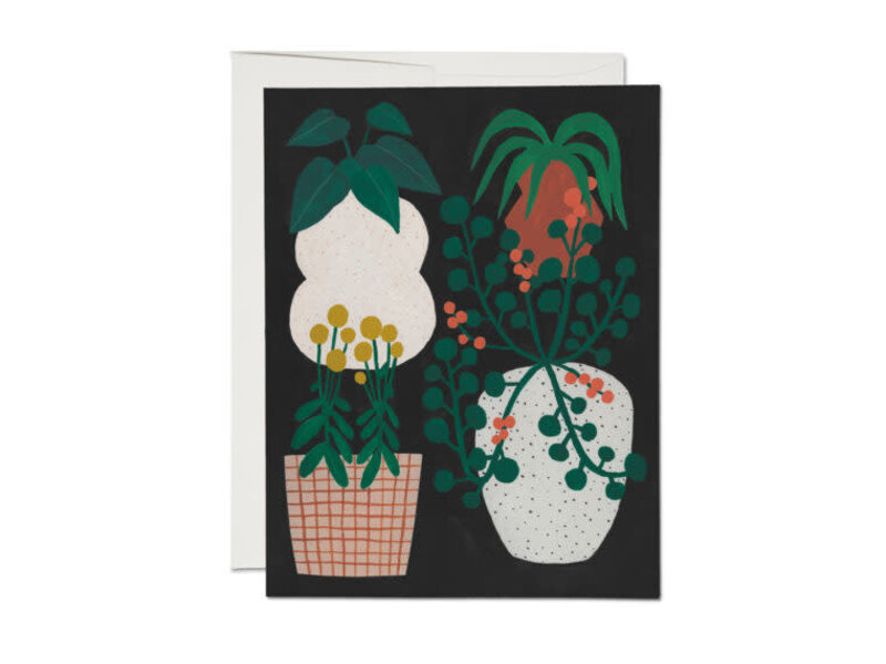 Red Cap Cards Indoor Plants everyday greeting card